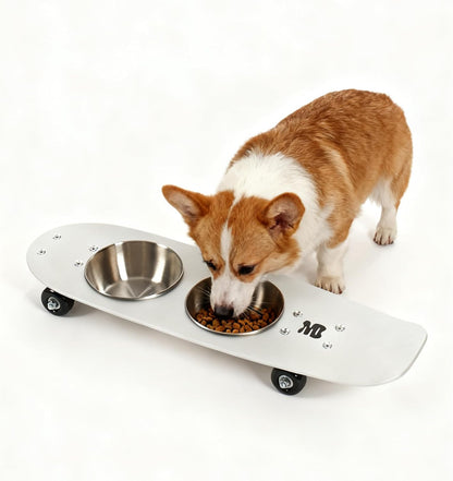 Dog Bowls Water and Food Cat Bowl Stainless Steel Bowl Pet Feeder Bowls for Medium Dogs and Cats Puppies, Silver