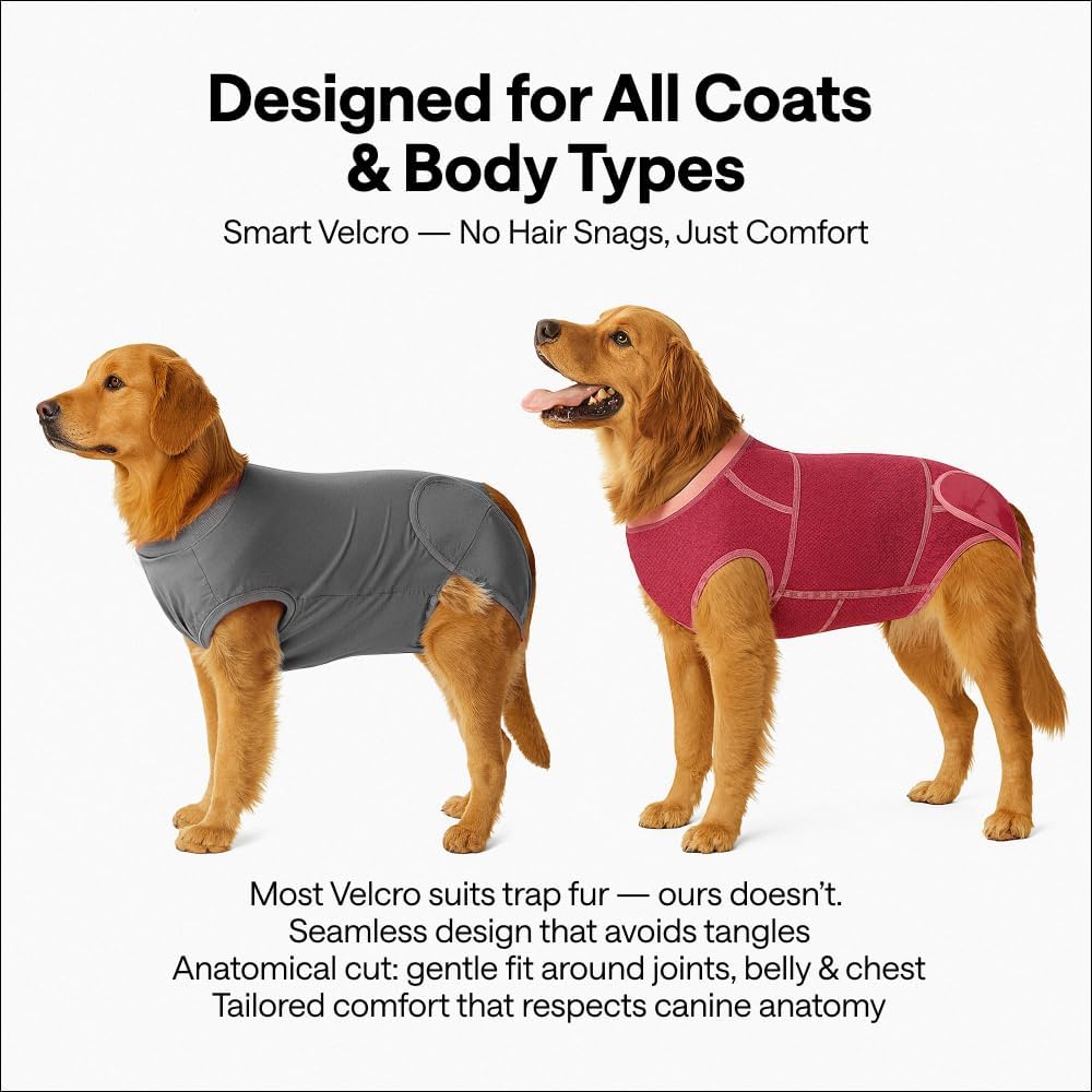 Dog Surgery Recovery Suit for Medium Dogs – Soft Cotton-Spandex Post-Surgery Bodysuit with Snap Buttons – Includes Chew Toy, Hygiene Sticker & Zip Bag – Cone Alternative for Medium Breeds
