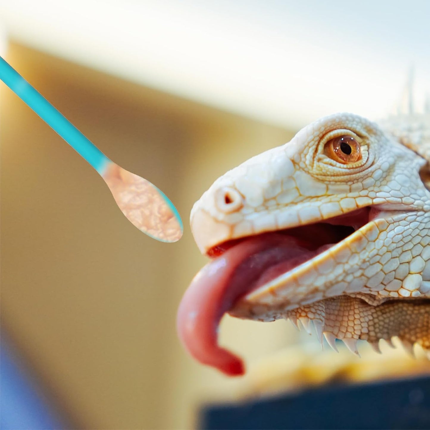 2Pcs Reptile Spoon, Crested Gecko Food Mixing Spoon Long Handle Feeding Tool Crested Gecko Accessories fit Lizard Gargoyle Bearded Dragon