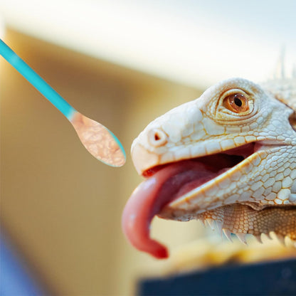 2Pcs Reptile Spoon, Crested Gecko Food Mixing Spoon Long Handle Feeding Tool Crested Gecko Accessories fit Lizard Gargoyle Bearded Dragon