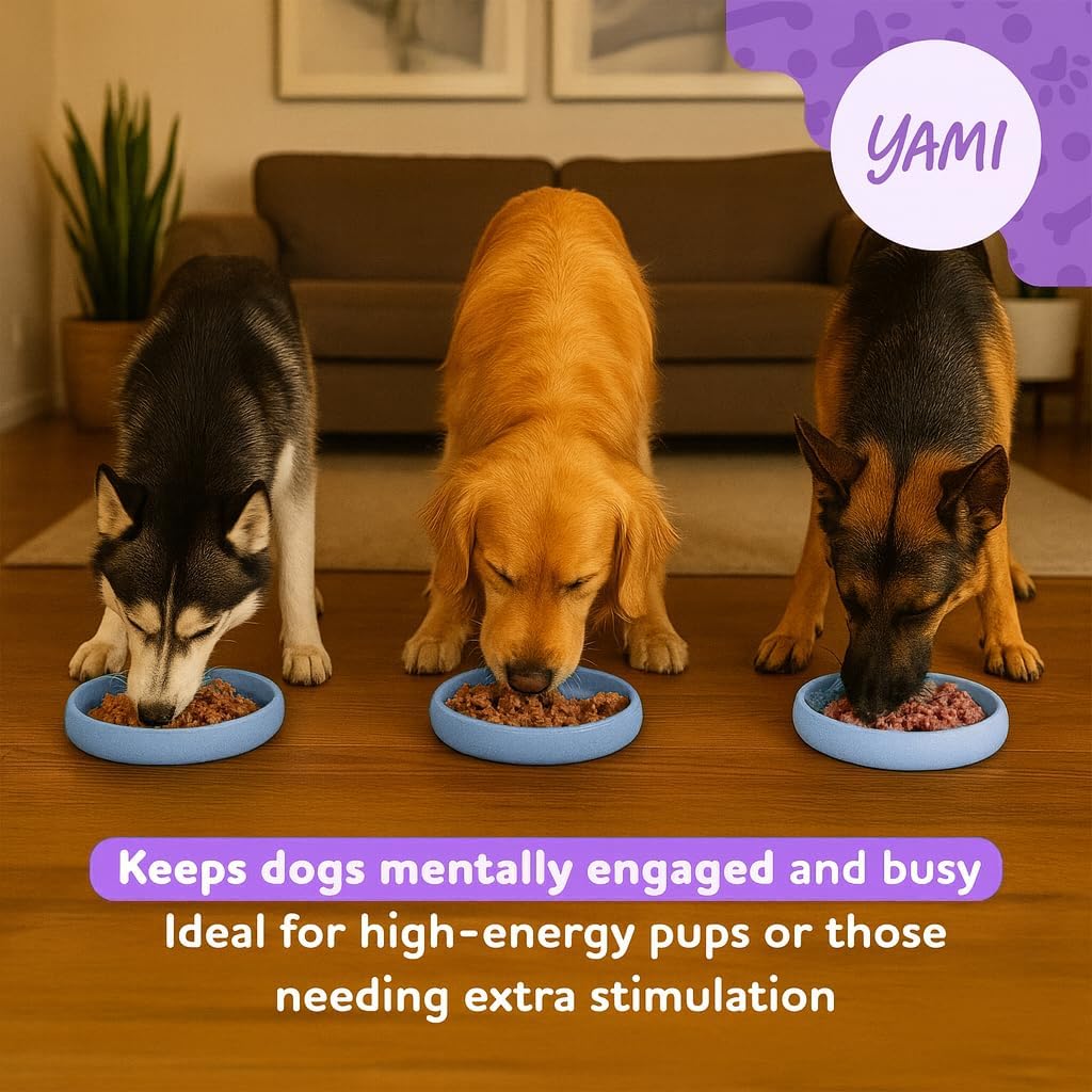 YAMI Bowl Lick Mat for Dogs & Cats, Slow Feeder Bowls, Cat Slow Feeder, Dog Enrichment Toys with Suction Cup for Anxiety Relief, Food-Grade Silicone, Dishwasher Fit, for All Breed (Light Blue)