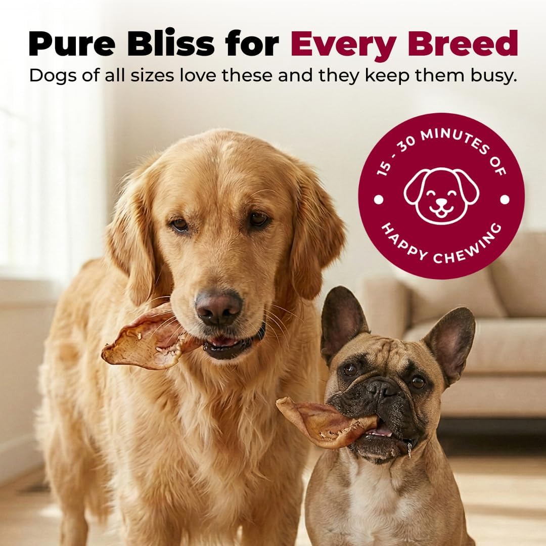 Best Pet Supplies GigaBite Half-Cut Pig Ears for Dogs - All-Natural Slow-Roasted Chews that Clean Teeth and Satisfy Aggressive Chewers - 20 Pack for Medium, Large Dogs