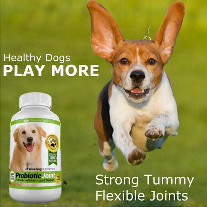 Probiotics for Dogs Digestive Turmeric Joint Support Bundle - Eliminates Joint Pain Inflammation, Incontinence, Gas and Diarrhea