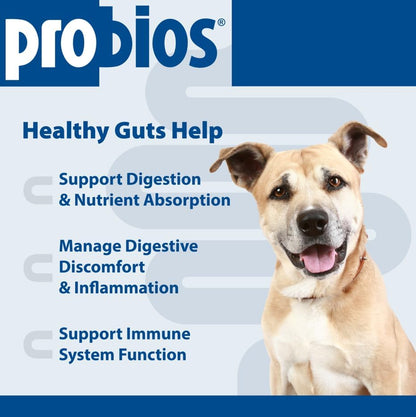 Probios for Dogs Soft Chews, Probiotics for Dogs, Daily Supplement for Gut Health, Digestion & Immune Support, Medium & Large Breeds, 8.46oz