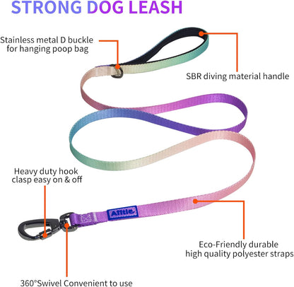 AIITLE No Pull Dog Harness & Leash & Collar - Adjustable Basic Collar with A Heavy Duty Leash - Super Sturdy Buckle and D Ring - Training Running for Large Dogs, Pink Gradient L