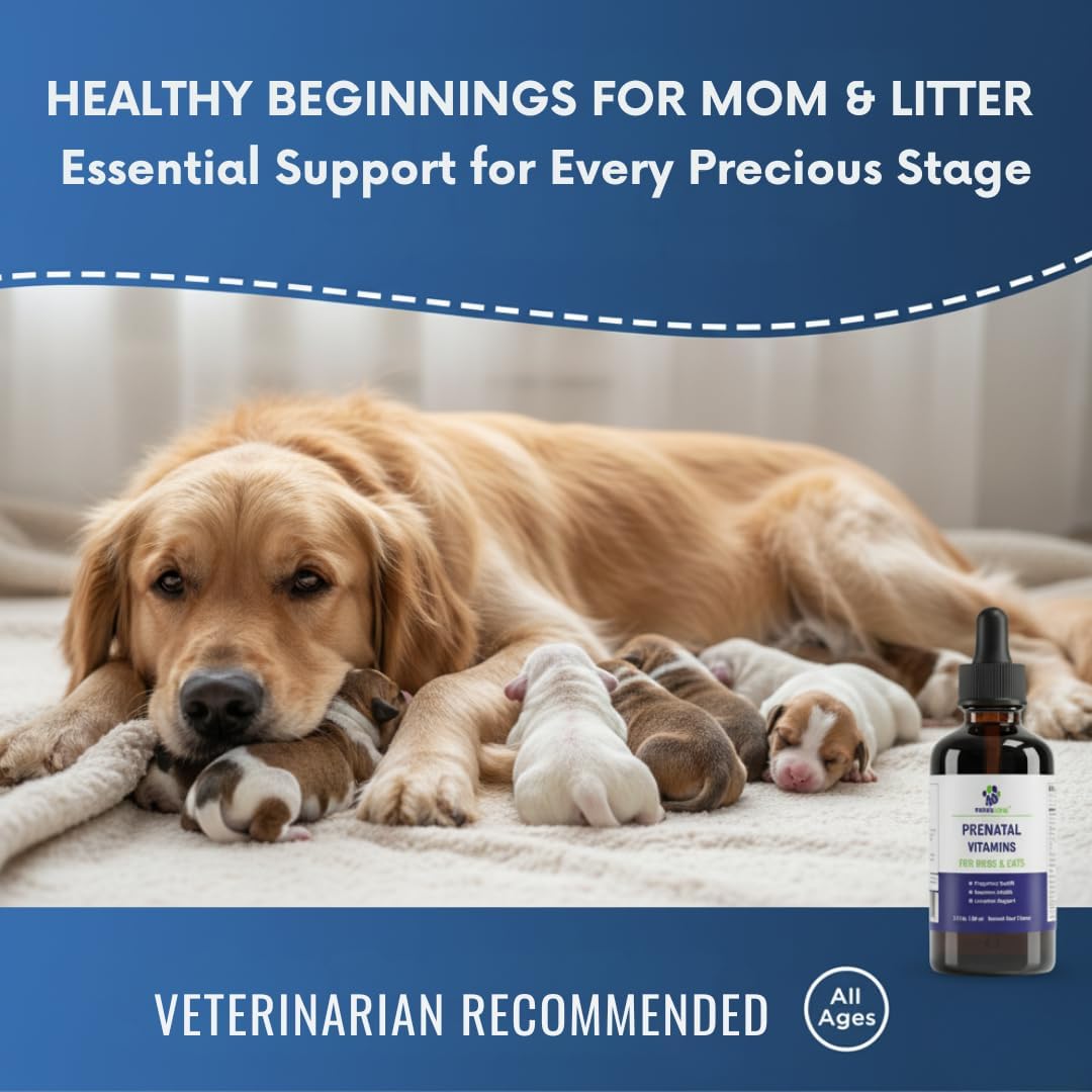 Liquid Prenatal Vitamins for Dogs & Cats - Folic Acid, Calcium & Iron Drops - Essential Support for Dog Pregnacy, Breeding & Lactation - Healthy Litter Growth - Beef Flavor, 60 ml