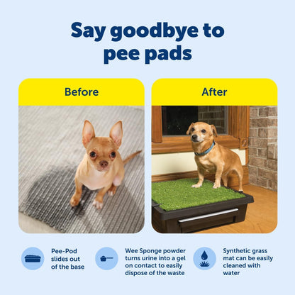 PetSafe Pet Loo Portable Dog Potty - Pet Toilet Alternative for Puppy Pads - Small - Perfect for House Training - Easy-to-Clean Grass Mat