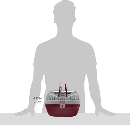 Living World – Pet Carrier for Small Pets, Large