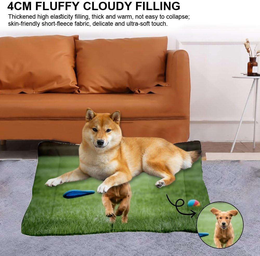 Golden Retriever Cute Indoor Dog Bed Washable Crate Mat Pad for Dog Crate Washable Bed for Dogs Non-Slip Chew Resistant Kennel Beds Crates Medium Comfort Mat Pet Paw Cushion Indoor Outdoor 24X18 Inch