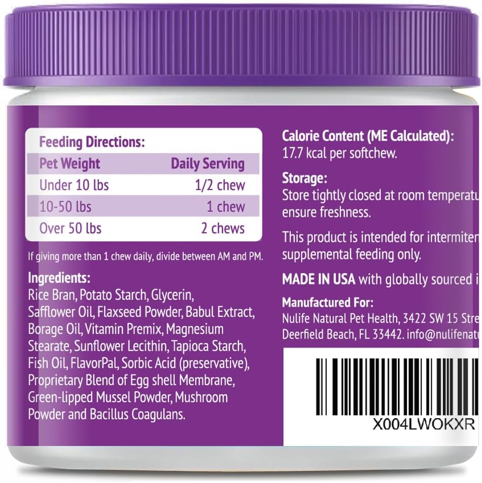 Dog Multivitamins Chewable Supplement - 22 in 1 Dog Vitamins for Itchy Skin & Coat, Immune System, Joints & Overall Health - Vitamins A, B, C, D, E, K & Antioxidants - 60 Chews - Beef Flavor