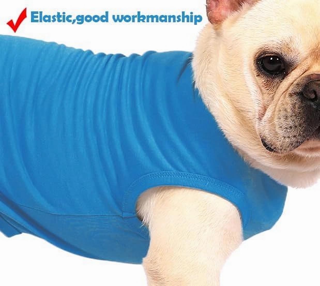 Dog Blank Blue Shirt,Boy Girl Dogs Extra Large Cotton Tee Shirts,Plain Labrador T-Shirt,XXL Blue Royal