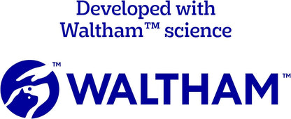 Pedigree Dentastix Large Breed Dog Treats, Beef Flavor, 1.67 lb. Bag (32 Treats)