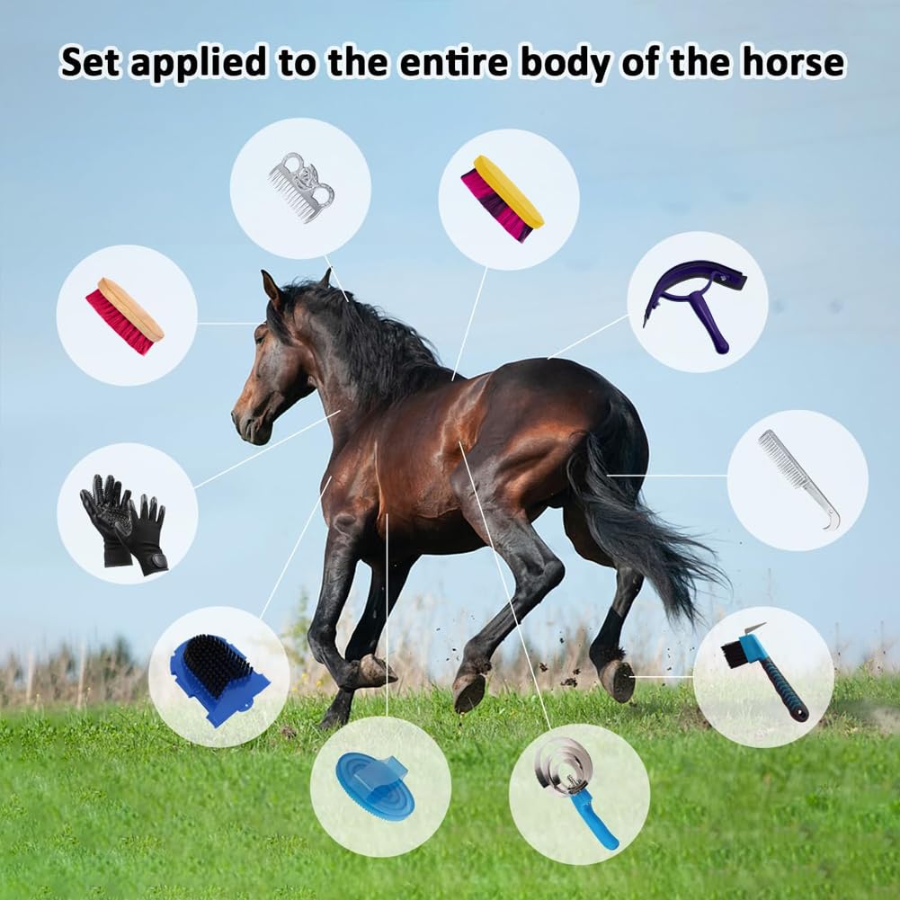 La La Pet® Grooming Kit with Bag - 11Pcs Brush Set for Horse Cleaning, Care and Tack Room Supplies