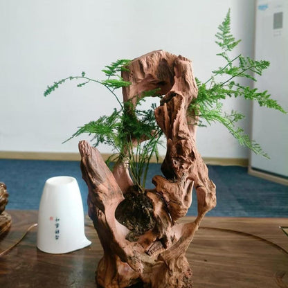 Natural Wood Aquarium Cave Betta Fish Hideout for Aquarium Fish Tank Decorations-Reptile Hide-Snake Hide-Cave for Cichlids Habitat Shelter for Crayfish Shrimp and Other Aquatic Pets 6.1-9.8"