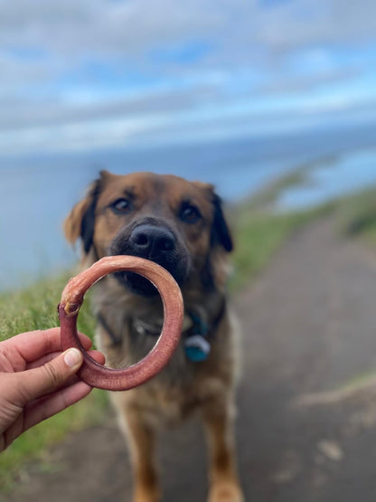 Redbarn Pet Products All-Natural 4" Bully Stick Rings for Dogs - Premium Grain-Free & Rawhide-Free Single Ingredient Long Lasting Low Odor Dental Treat for Chewers - 3 Count