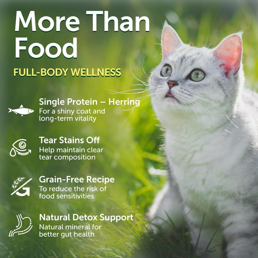 Nature's Protection Dry Cat Food - Grain Free, High Protein Cat Food Dry Kibble for Indoor Adult Cats with Light Fur - Sensitive Stomach, No Tear Stains & Hairball (Superior Care - Herring, 3.3 lb)