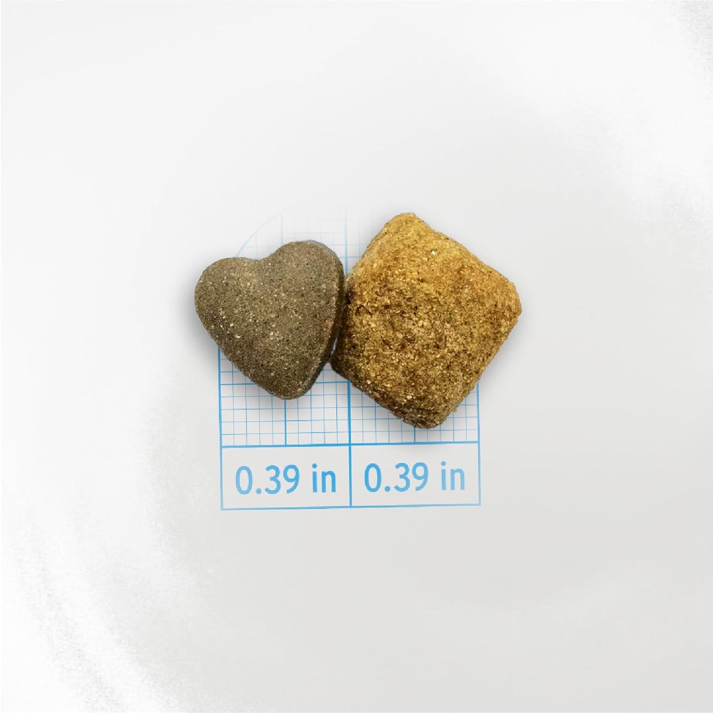 Forza10 - Dog Food, Dermo Dry Food for Itchy Skin, Sensitive Stomach & Coat Health, Limited Ingredient Dog Food, Non-GMO, Fish Flavor, Made in Italy (22 lb)