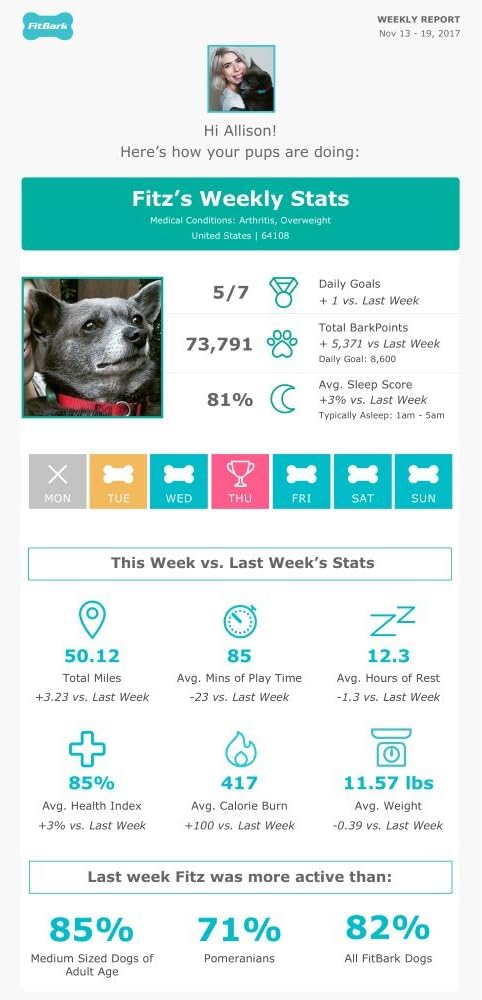 FitBark 2 Dog Activity Monitor | Health & Fitness Tracker for Dogs | Waterproof, Small & Leightweight (10 g) | Not a GPS Tracker