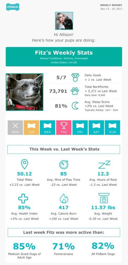 FitBark 2 Dog Activity Monitor | Health & Fitness Tracker for Dogs | Waterproof, Small & Leightweight (10 g) | Not a GPS Tracker