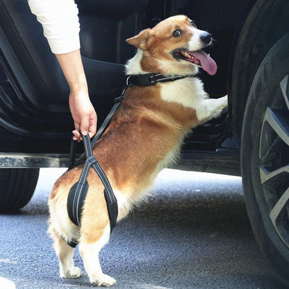 New Upgraded Dog Hind Leg Support Harness, Rear Leg Support Harness - Mobility Aid for Disabled & Paralyzed Pets, Rehabilitation Sling for Hind Leg Assistance (S-Thigh（Small)