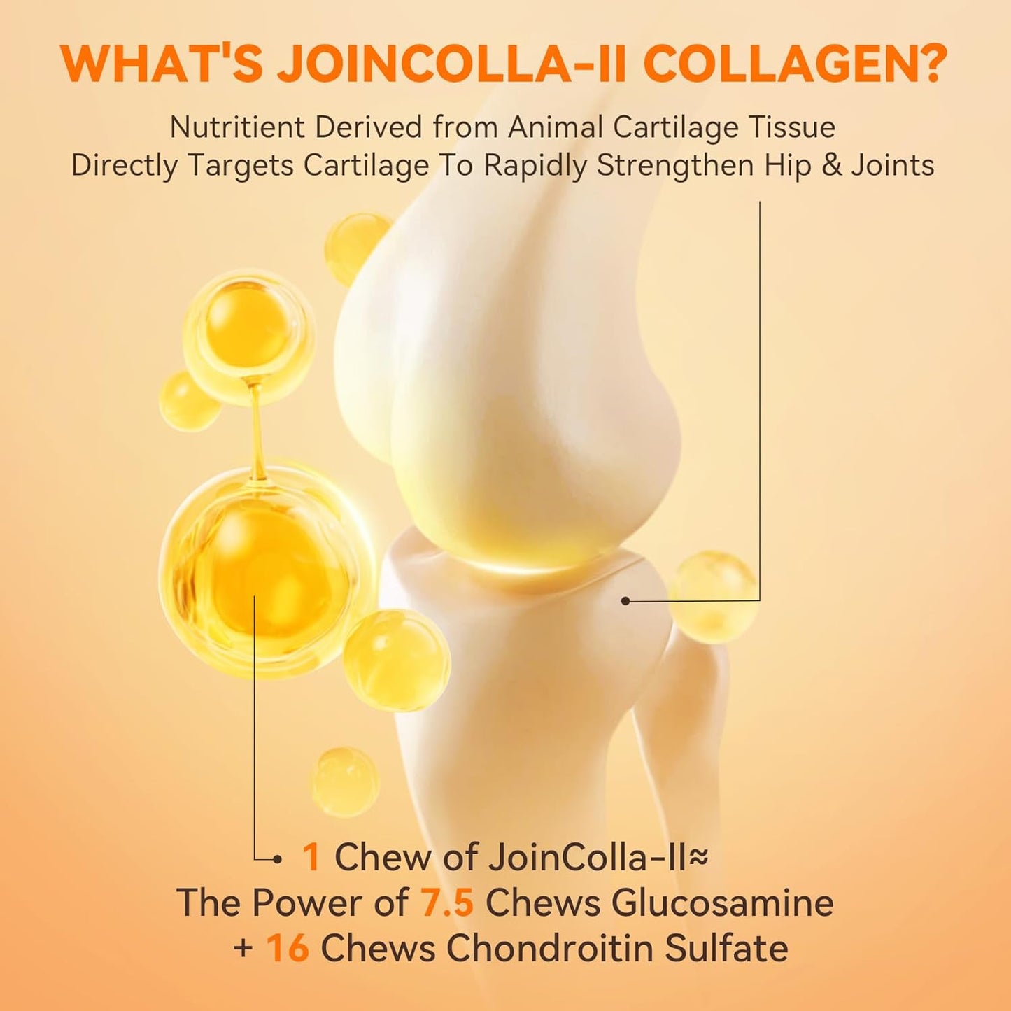 30 Soft Chews Dog Joint Supplement & 200 Tablets Multivitamin for Skin and Coat for Dogs and Pets