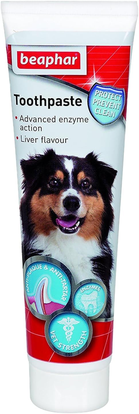 Beaphar Toothpaste for Dogs and Cats, 100g