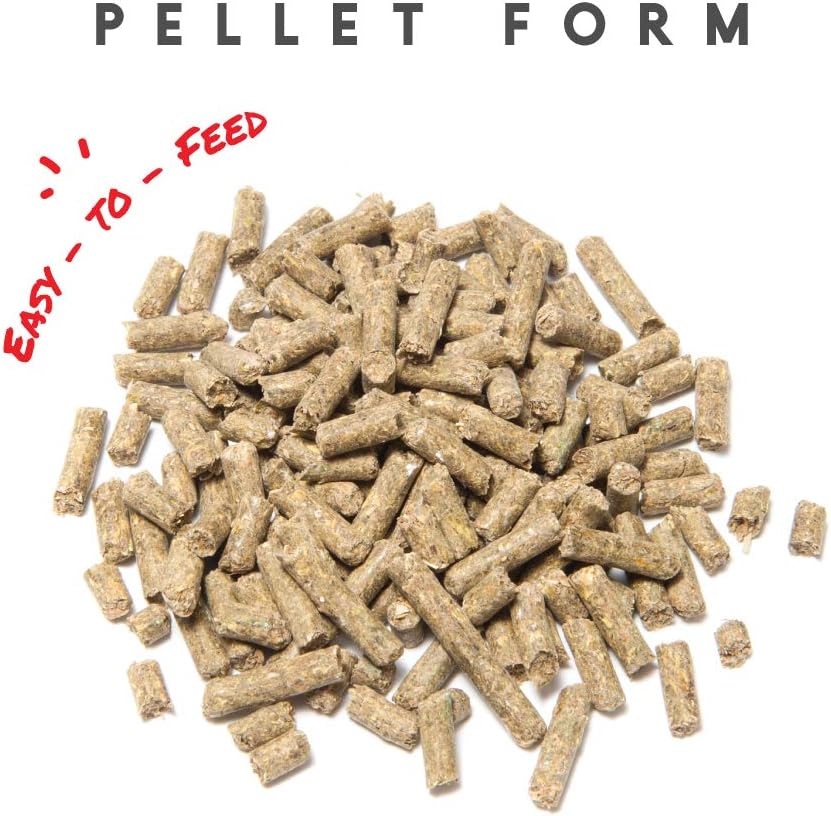 Manna Pro Sho-Glo Supplement for Horses | Complete Vitamin & Mineral Supplement for Healthy Skin & Coat | 5 Pounds