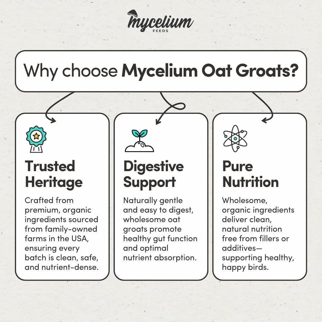 Mycelium Organic Oat Groats for Birds (5 LB Bag) | Clean, Non-GMO Grain Treat or Food Additive | Debris & Dust-Free Advanced Sifting | Ideal for Small Pet & Ground-Feeding Wildlife Birds | Made in USA