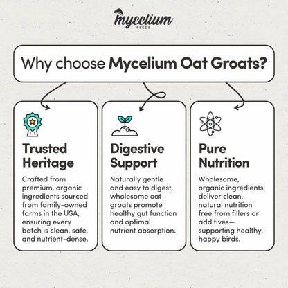 Mycelium Organic Oat Groats for Birds (5 LB Bag) | Clean, Non-GMO Grain Treat or Food Additive | Debris & Dust-Free Advanced Sifting | Ideal for Small Pet & Ground-Feeding Wildlife Birds | Made in USA