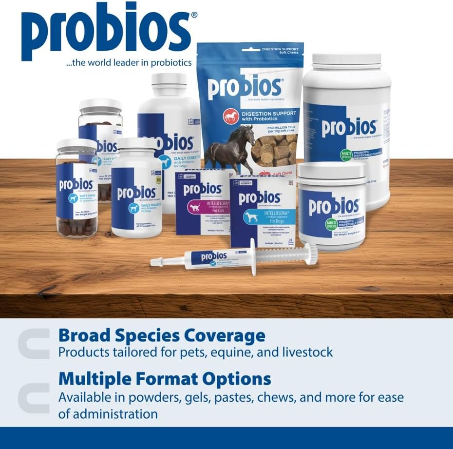 Probios for Dogs Soft Chews, Probiotics for Dogs, Daily Supplement for Gut Health, Digestion & Immune Support, Medium & Large Breeds, 8.46oz