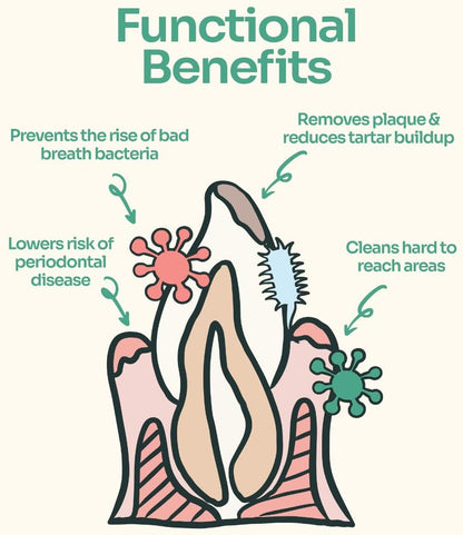 Notti Dental Fresh Advanced Plaque and Tartar Spray - Oral Care Spray - Water Additive - Pet Dental Care - No Toothpaste No Toothbrush - Eliminate Bad Dog and Cat Bad Breath - Freshen Breath