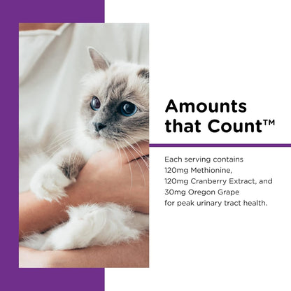 Nutri-Vet Uri-Ease Paw Gel for Cats, Probiotic & Prebiotic Kitten Supplies, Cranberry Supplement, Immune Support Supplement, Cat Urinary Vitamin, Gut health, Salmon Flavor, 3oz