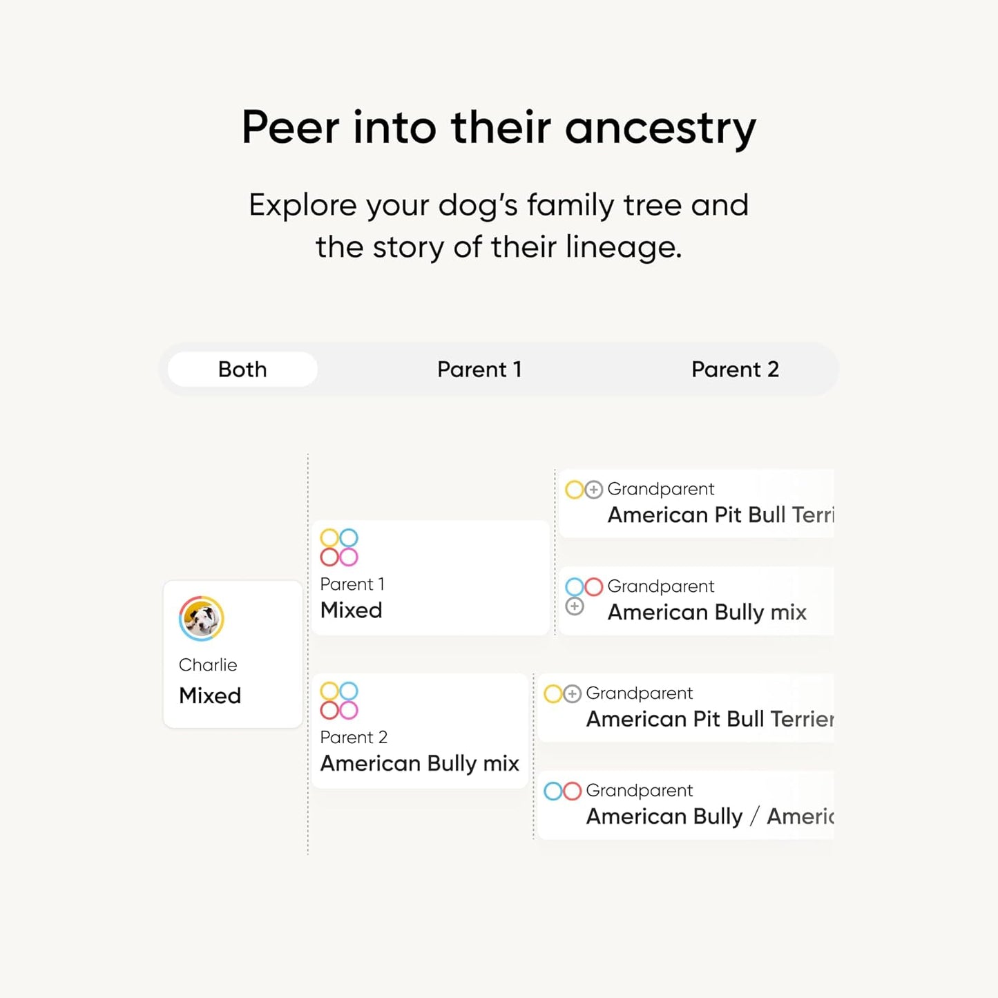 Embark Breed Identification Kit - Most Accurate Dog DNA Testing Kit - 99% Breed Ancestry Accuracy for Mixed Breed Dogs - Plus Relative Finder & Family Tree