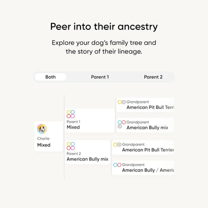 Embark Breed Identification Kit - Most Accurate Dog DNA Testing Kit - 99% Breed Ancestry Accuracy for Mixed Breed Dogs - Plus Relative Finder & Family Tree