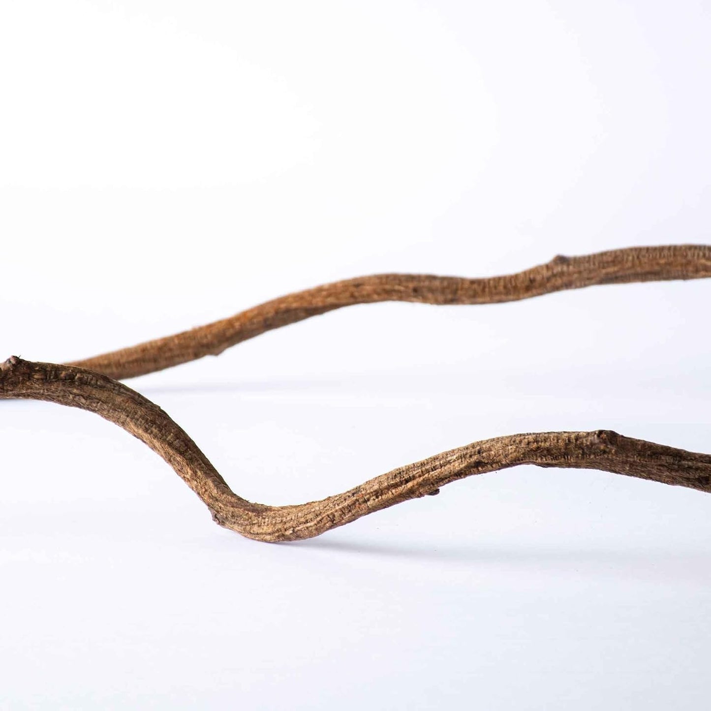 Galapagos (05312) Jungle Wood, Natural Brown, 3 Ft.