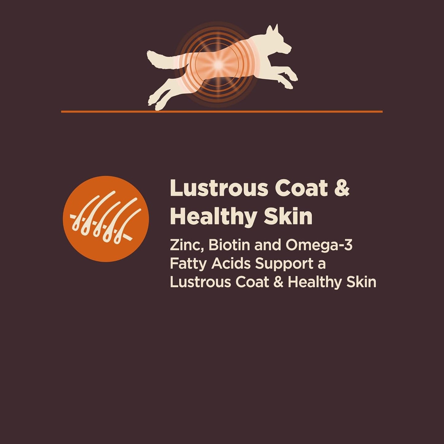 Wellness CORE Digestive Health Dry Dog Food, Wholesome Grains, Natural, Recipe for Dogs with Sensitive Stomachs, Chicken, (24-Pound Bag)