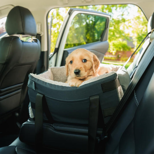 Center Console Dog Seat for Small Dogs & Cats | Pet Car Seat with Safety Strap & Cushion | Portable Middle Console Dog Bed | Secure Travel Booster Seat by Carver Park