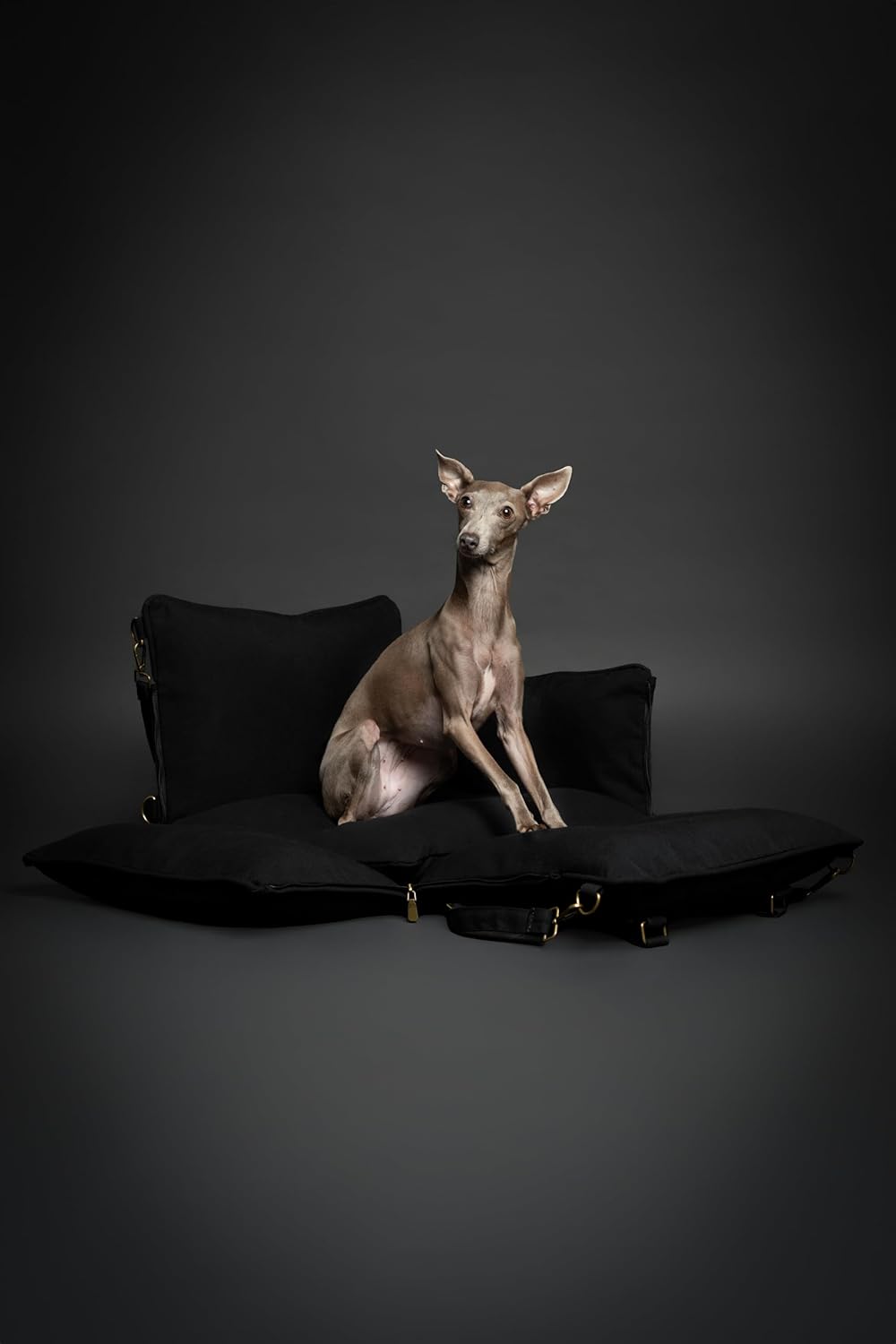 Noah & Paw Dog Car Seat Carrier, Small Dog Car Seat for Small Medium Pets with Harness Clip, 4X Safety Feature, Booster Travel Bed, Waterproof Washable, Orthopedic Foam Filling, Canvas Collection