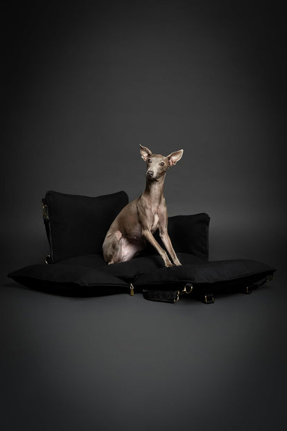 Noah & Paw Dog Car Seat Carrier, Small Dog Car Seat for Small Medium Pets with Harness Clip, 4X Safety Feature, Booster Travel Bed, Waterproof Washable, Orthopedic Foam Filling, Canvas Collection