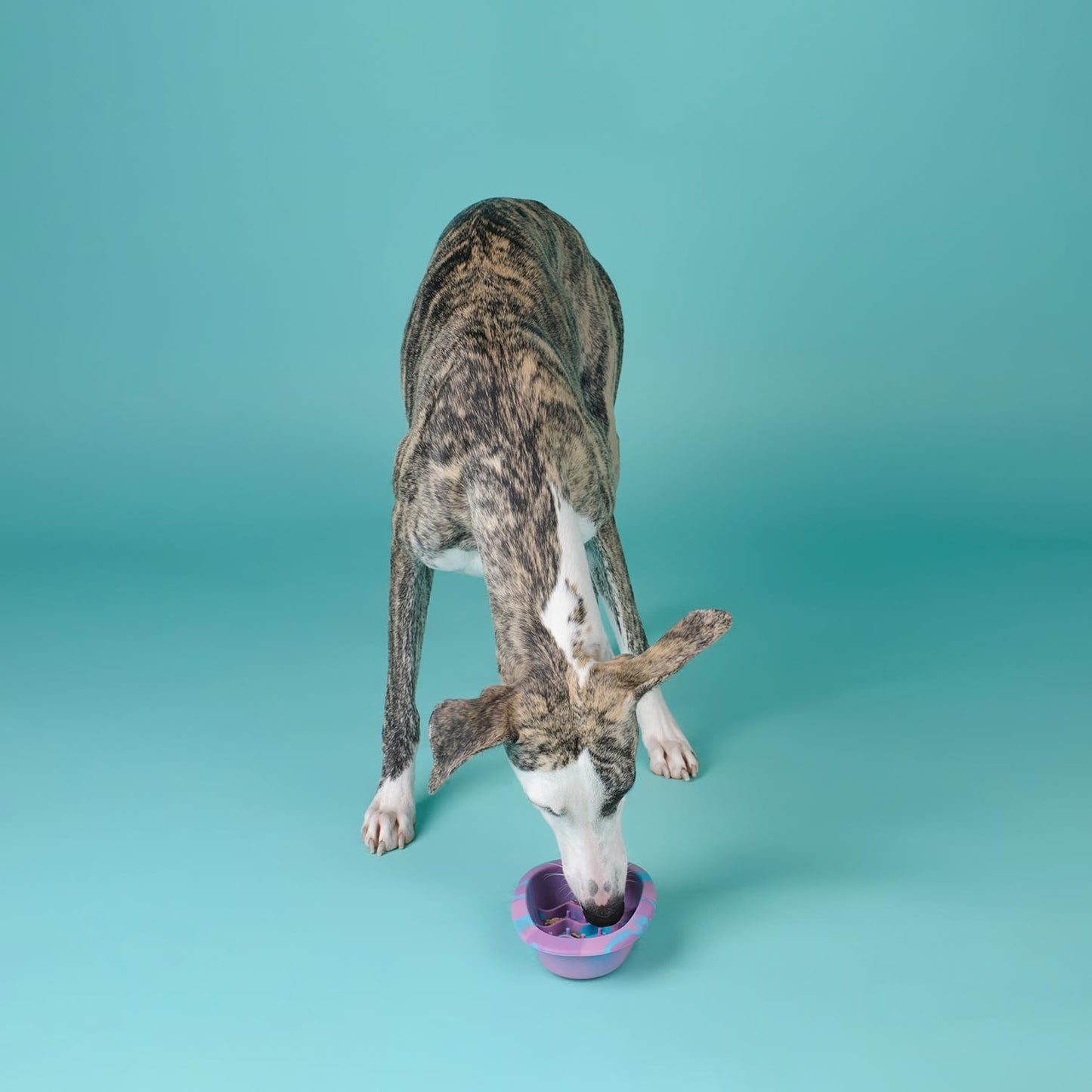 CHEWFFON Interactive Dog&Cat Lick Mat Bowls, BPA-Free Silicone Dog Slow Feeder with Suction Cups, Non Slip Food Bowl for Dogs and Cats, Reduces Boredom and Anxiety, Dishwasher Safe, Green Small