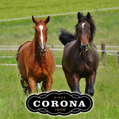 Corona Ointment for Horses|Lanolin Based Formula Helps Sooth Irritation|7 Ounces