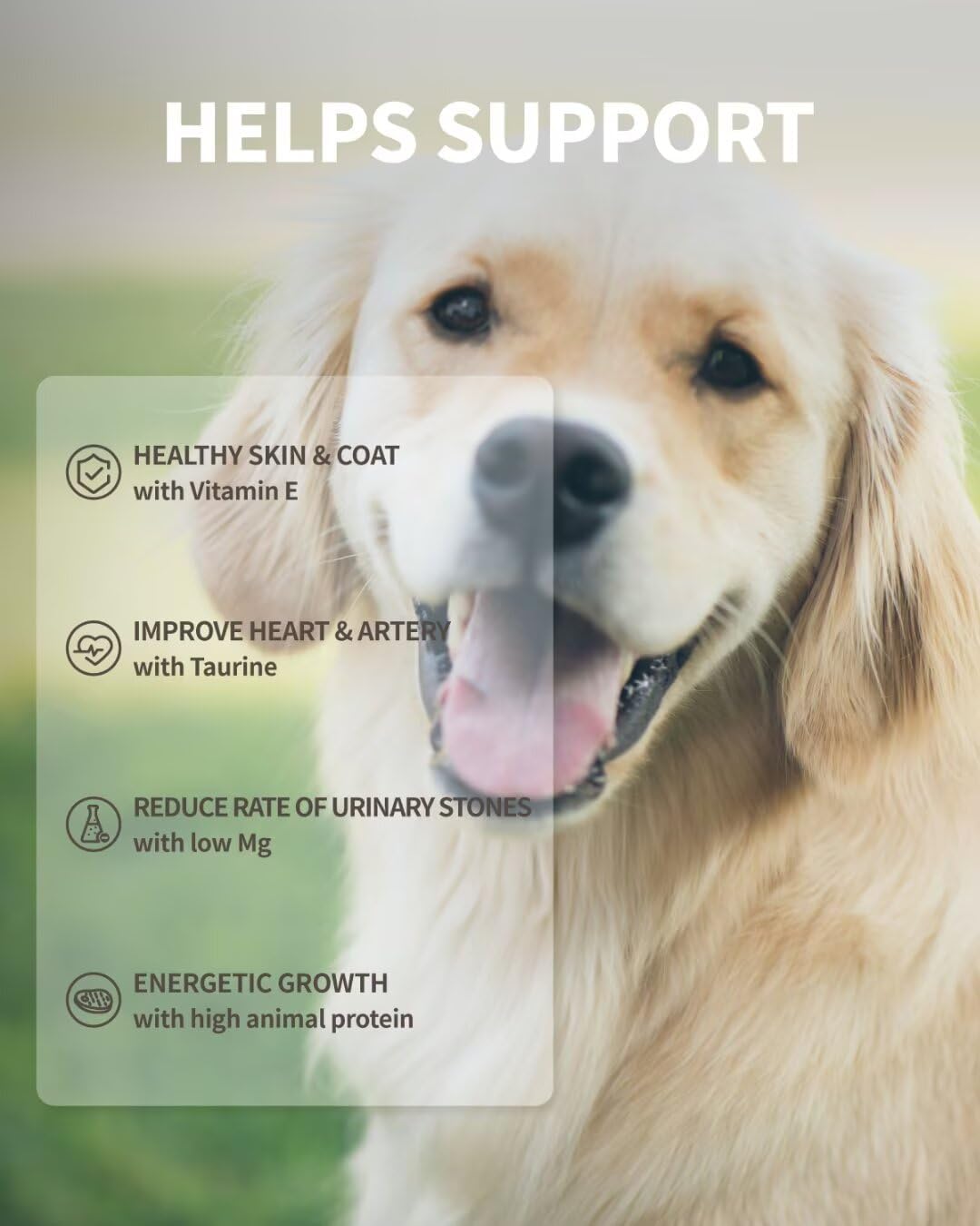 Freeze Dried Dog Treats, 94% Animal Origin Freeze Dried Raw Food, High Protein Healthy Food Toppers & Meal Mixers for Dog (Duck Recipe - 2.1 Ounce)