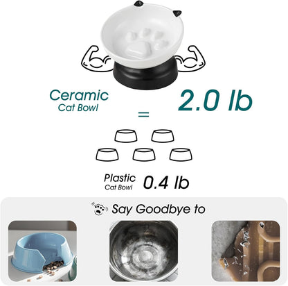 vancasso Slow Feeder Cat Bowls, Ceramic Elevated Slow Feeder Cat Bowls, Raised Food Bowl for Wet Food (Black)