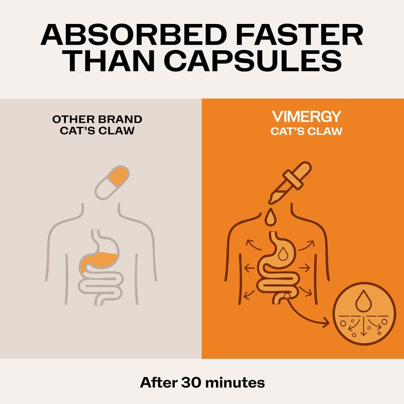 Vimergy Organic Cat’s Claw Liquid – Provides Antioxidant Support* – Benefits The Immune System* – Organic, Vegan, Gluten-Free, Non-GMO 120 Servings (240 ml)