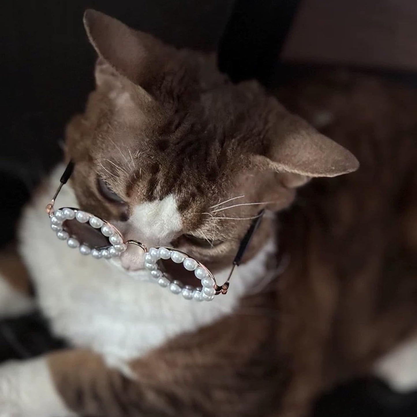 Cute Pearl Cat Sunglasses, Pet Sunglasses for Small Medium Dog/Cat, Holiday Party Pet Costume Accessories, Pet Doll Glasses Costumes, Cats Glasses Dog Sunglasses for Photography Party Wear