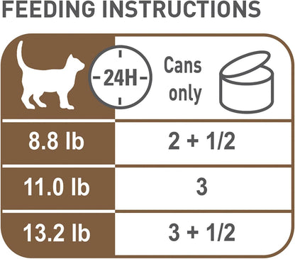 Royal Canin Feline Health Nutrition Aging 12+ Senior Thin Slices in Gravy Cat Food, 3 oz (Pack of 12)