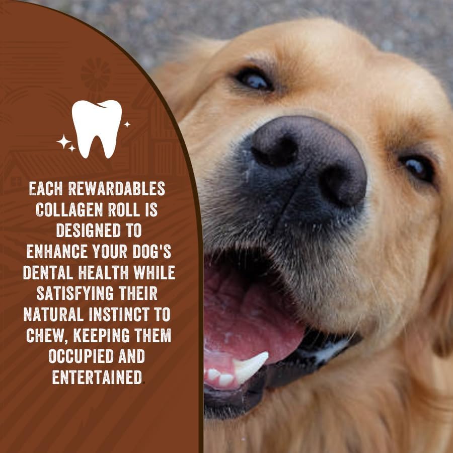 Healthy Chewers Peanut Butter Collagen Rolls 2 Count | High Protein, Long Lasting, Collagen Rich Chews for Large Dogs