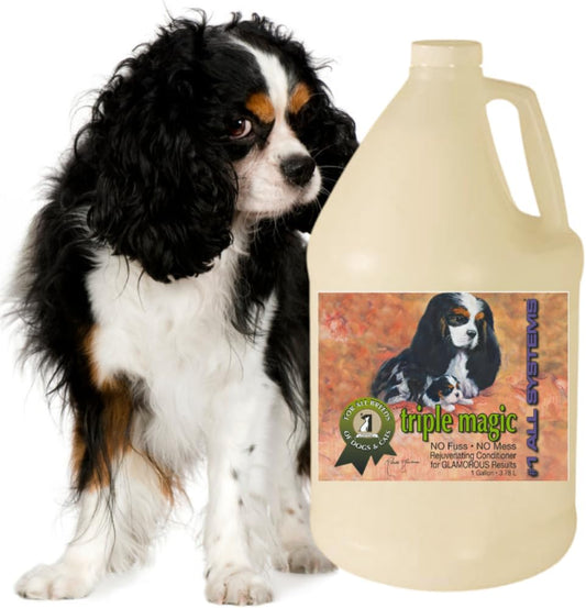 #1 All Systems Triple Magic Conditioner, Professional Strength, All Coat Types, Leave-in or Rinse, De-Matting & Detangling, Concentrated Formula with Triple Oils