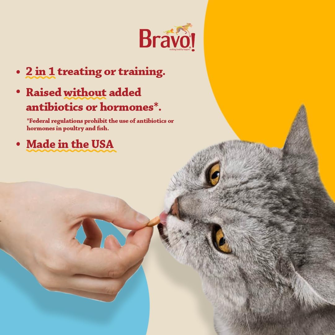 Bravo! Healthy Bites Single Ingredient Freeze Dried Raw Cat Treats, Salmon, 1 Ounce, High Protein, Grain Free, Gluten Free (Pack of 3)
