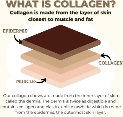 Bully Bunches Premium Beef Collagen Chews for Dogs – All-Natural, Long-Lasting Dental Treats, Protein-Rich, Grain-Free, Healthy Digestive Support for Dogs (6 Inch - 5 Pack)